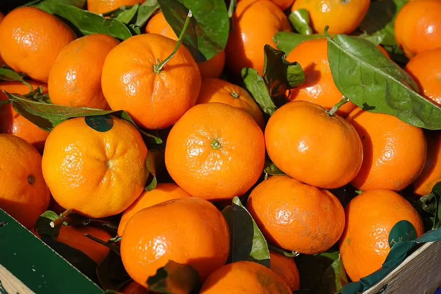 Huile de zeste de citrus aurantium dulcis (orange)